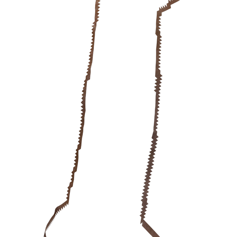 The Fractionalized Phallus